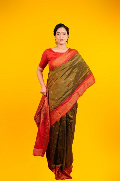 Janani Paithanin Pattu