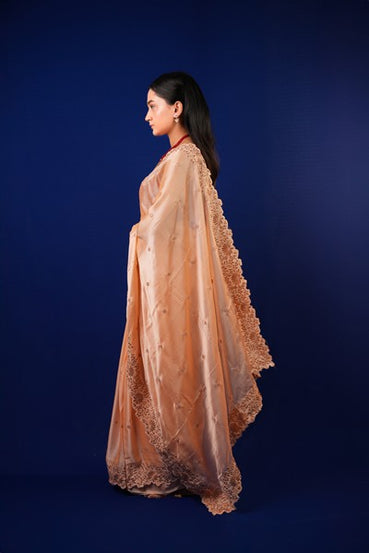 Silk Organza Soft Peach