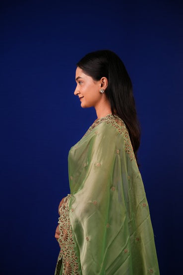 Tissue Saree Sage Green