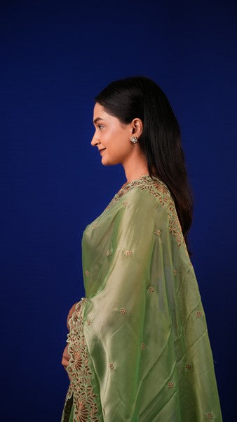 Tissue Saree Sage Green