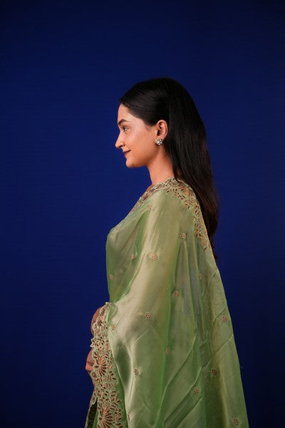 Tissue Saree Sage Green