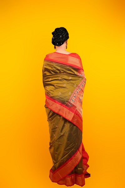 Janani Paithanin Pattu