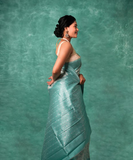 Kanchipuram Silk Light Gray