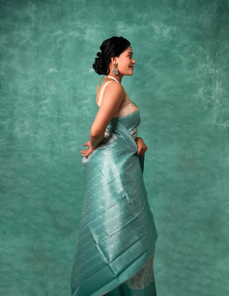 Kanchipuram Silk Light Gray