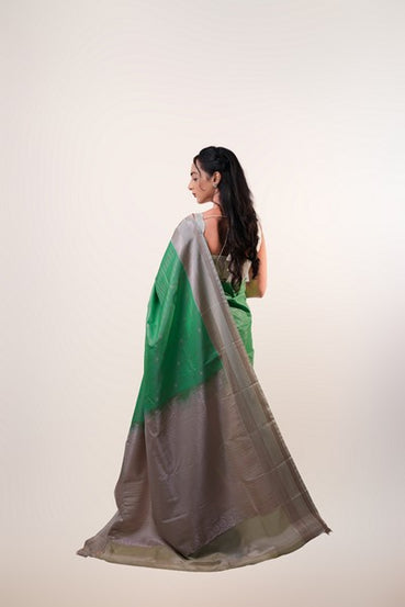 Kanchipuram Silk Pistachio Green