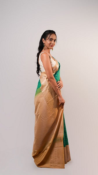 Teal Treasure Peacock Green