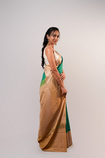 Teal Treasure Peacock Green